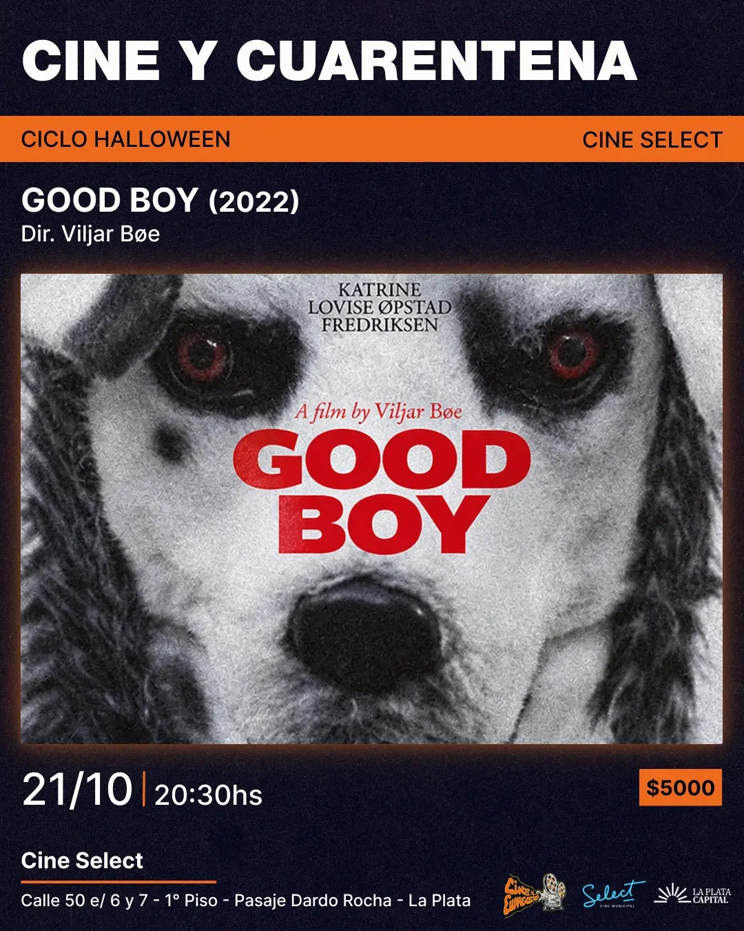 Good Boy - Dir. Viljar Bøe